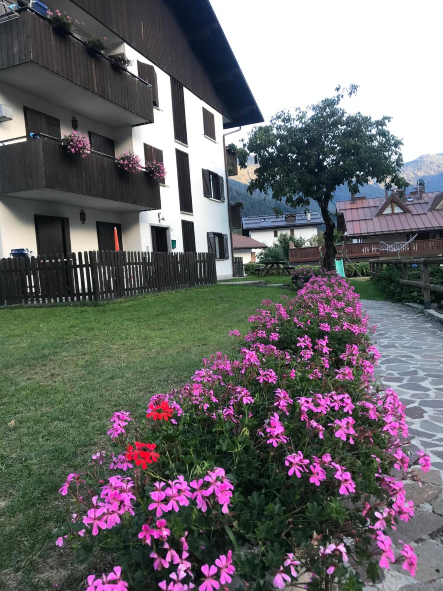 Care Alto Appartement Carisolo Buitenkant foto